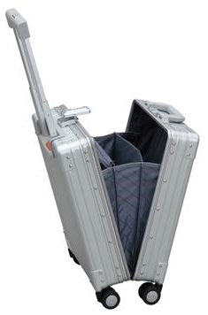 Aleon 20" Vertical Business Carry-On
